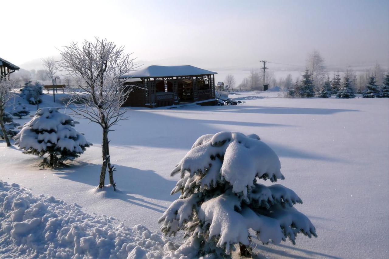 Stanica Pod Zadzierna Domki Caloroczne Lubawka Exterior foto