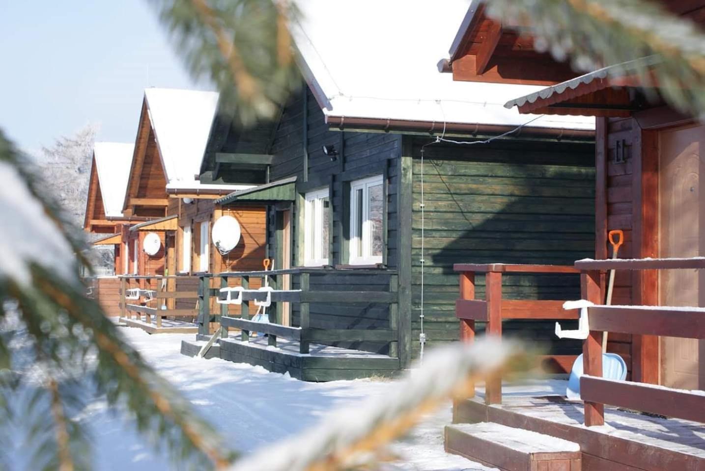 Stanica Pod Zadzierna Domki Caloroczne Lubawka Exterior foto